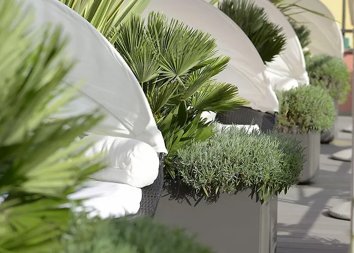 Szálloda Elvezia 3*